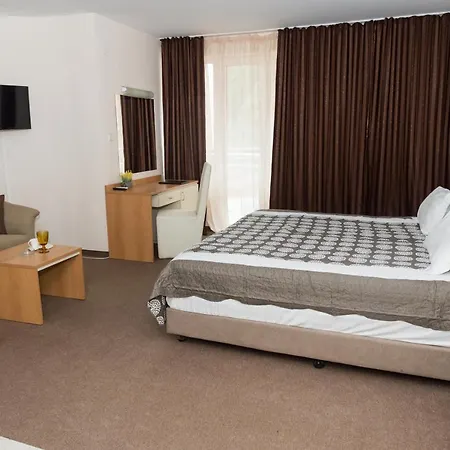 酒店 中央酒店 3*