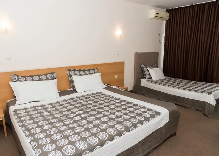 Hotel Central Hotel 3*