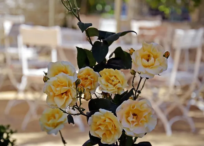 Hotel Central Napospart